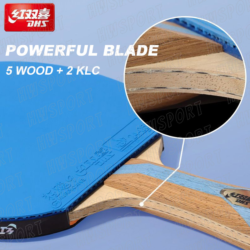 DHS-raqueta de tenis de mesa d - Table Tennis Padel reseña y precio