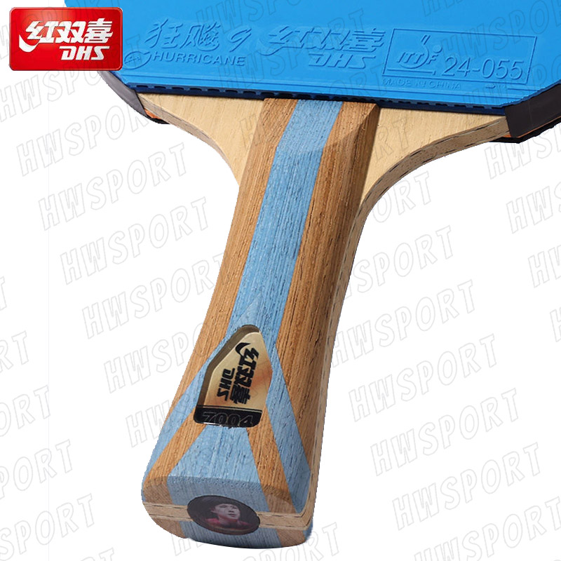 DHS-raqueta de tenis de mesa d - Table Tennis Padel reseña y precio