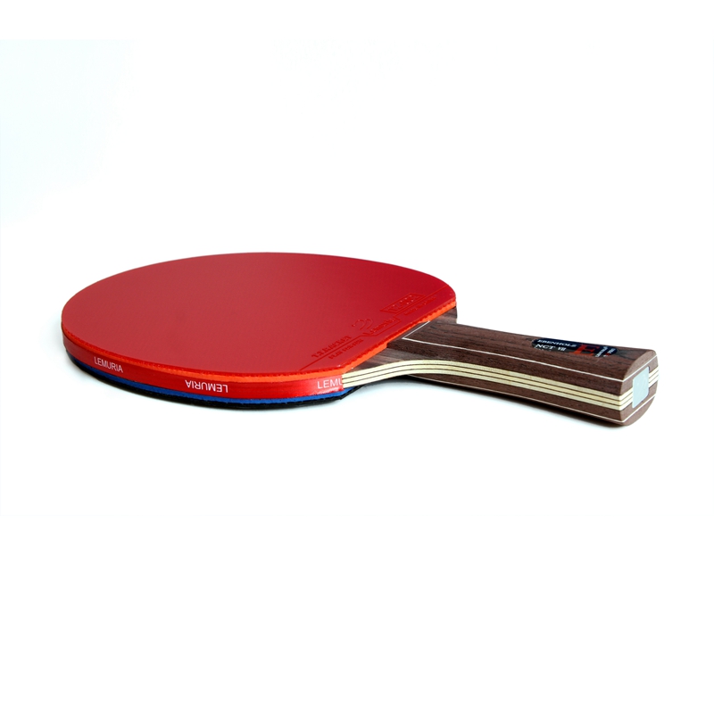 Raqueta de tenis de mesa Lemur - Table Tennis Forehand reseña y precio