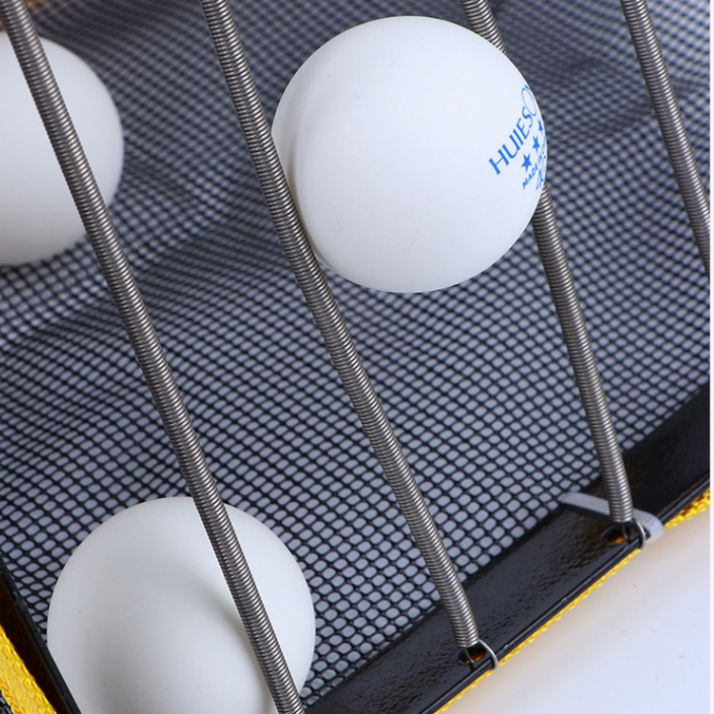 Recogedor de pelotas de Ping P - Table Tennis Video Game reseña y precio