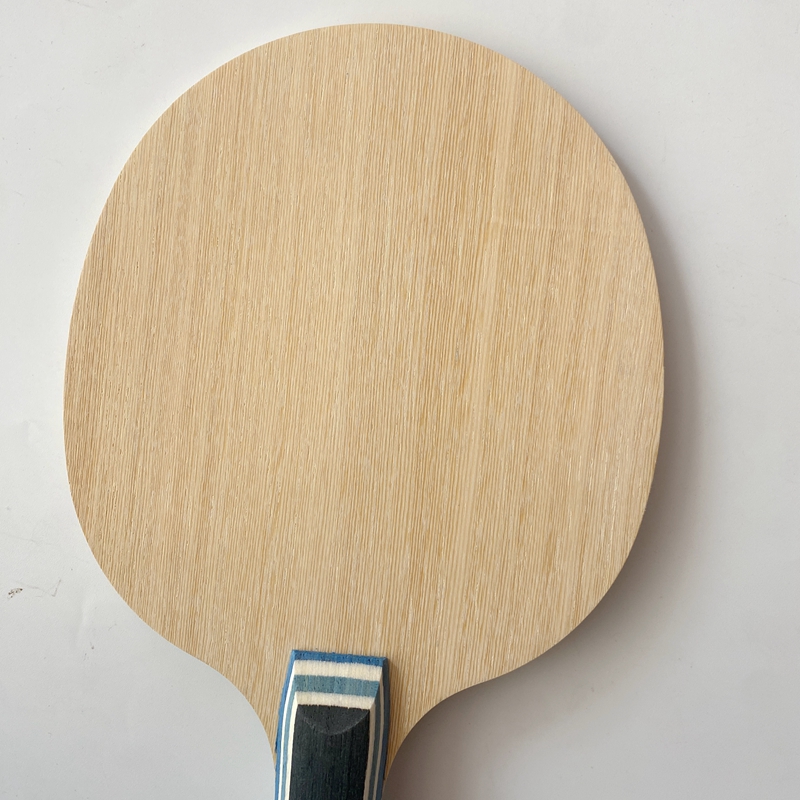 Raqueta de Tenis de Mesa Lemur - Table Tennis Forehand reseña y precio