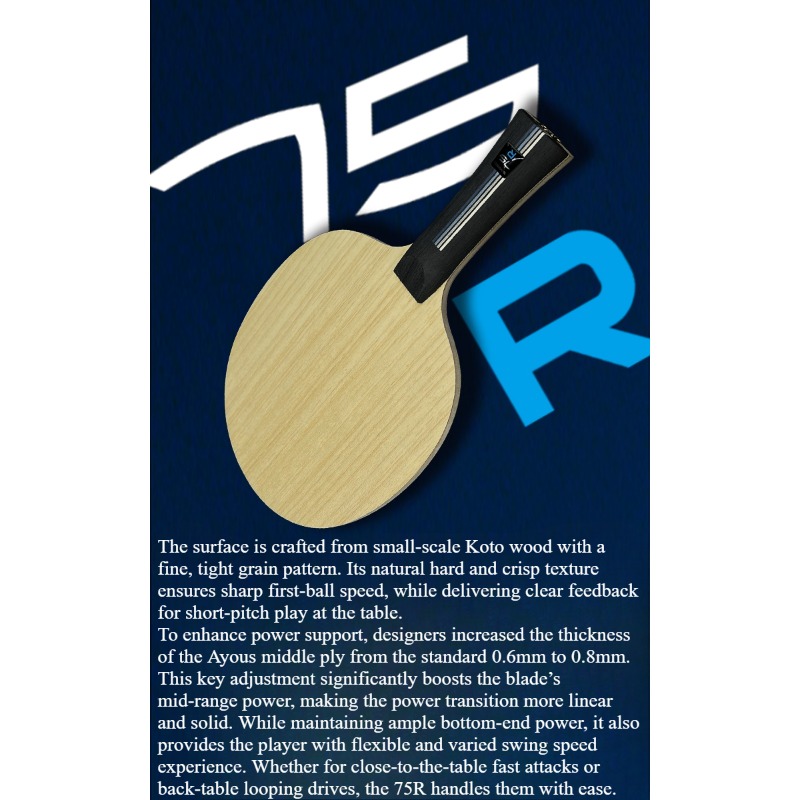 SANWEI 75R 5+2 Outer H-GLC, Pa - Table Tennis Paddle reseña y precio