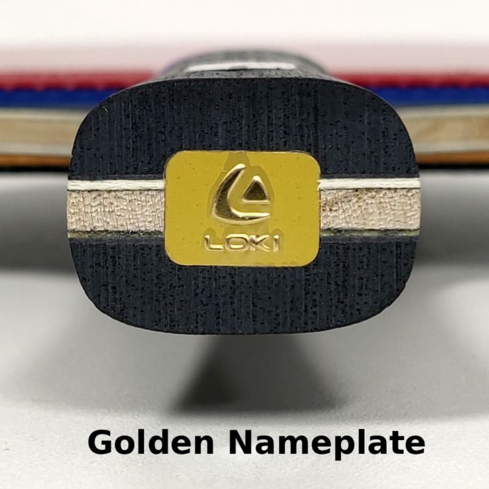 Raqueta de Tenis de Mesa Profe - Table Tennis Zhang Jike reseña y precio