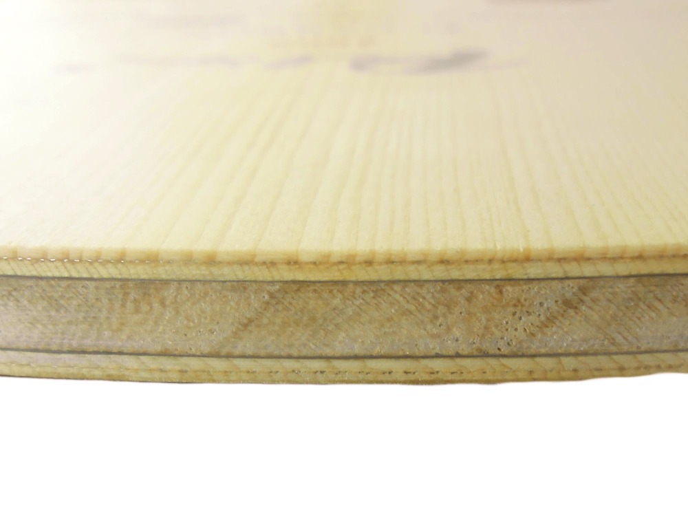 PALIO 8603 raqueta de tenis de - Xiom Blade Table Tennis reseña y precio